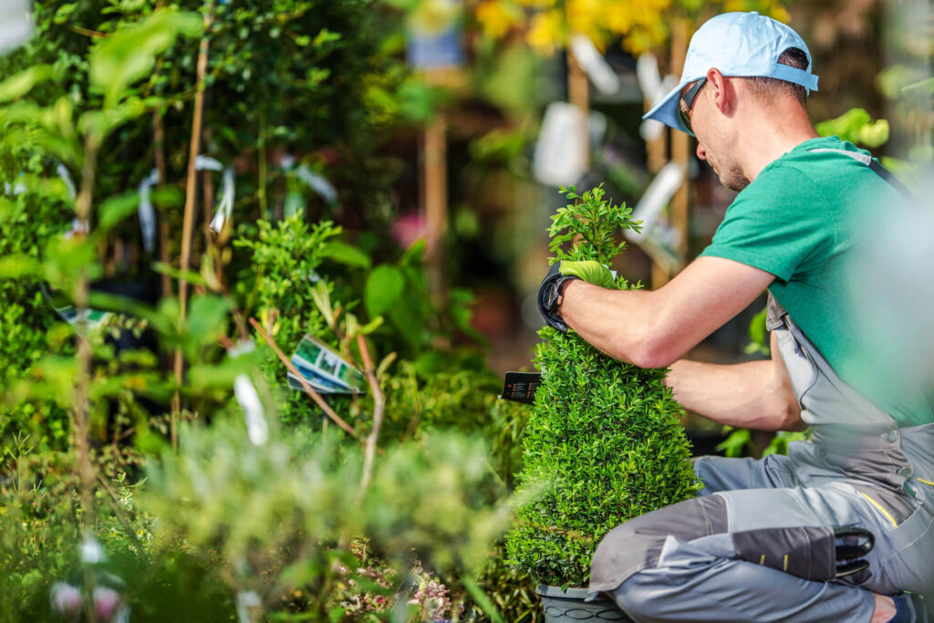 Design and Planting